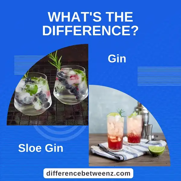 Difference between Gin and Sloe Gin