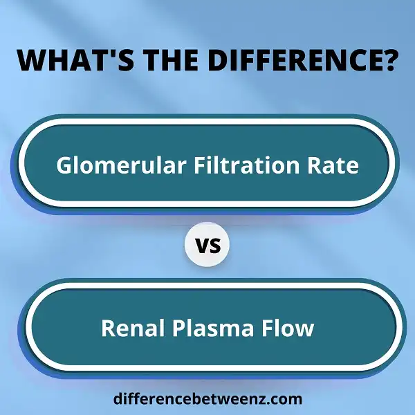 Difference between Glomerular Filtration Rate and Renal Plasma Flow