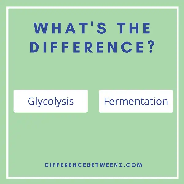 Difference between Glycolysis and Fermentation