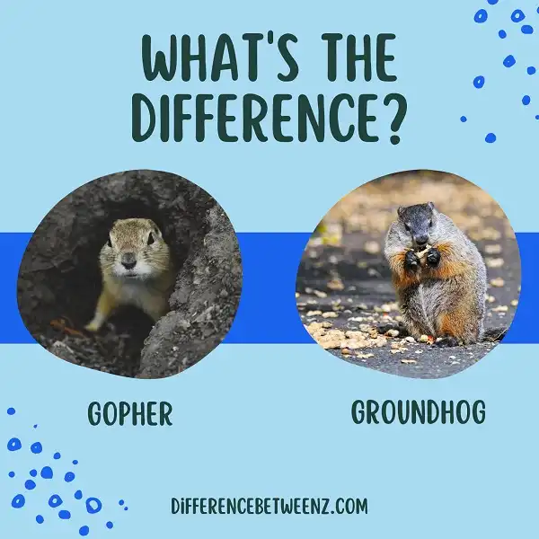 Difference between Gopher and Groundhog Difference Betweenz