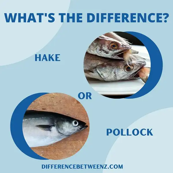 Difference between Hake and Pollock