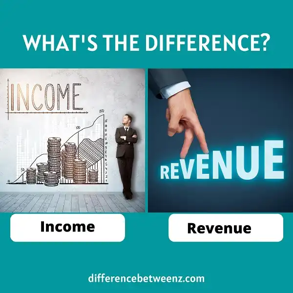 Difference between Income and Revenue