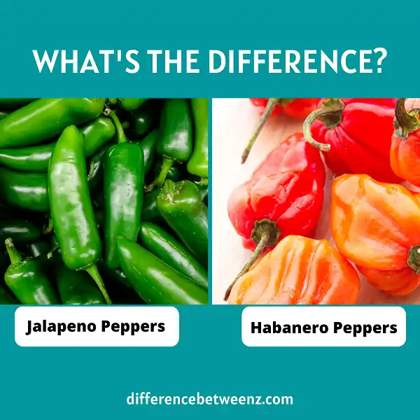 Difference between Jalapeno and Habanero Peppers