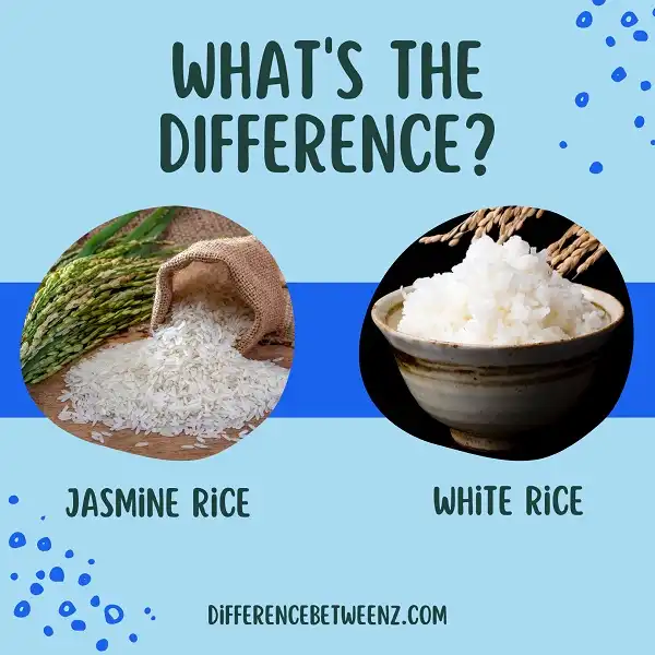 difference-between-jasmine-rice-and-white-rice-difference-betweenz