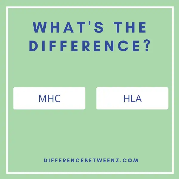 Difference between MHC and HLA