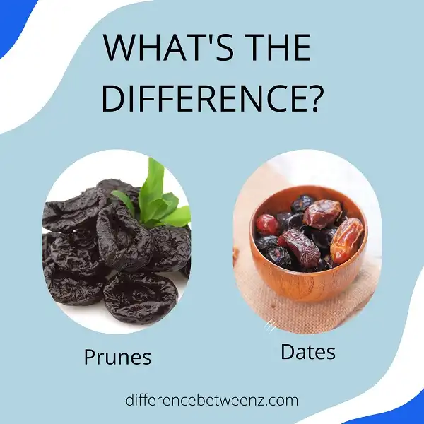 Dates vs Prunes: What's the Difference? 