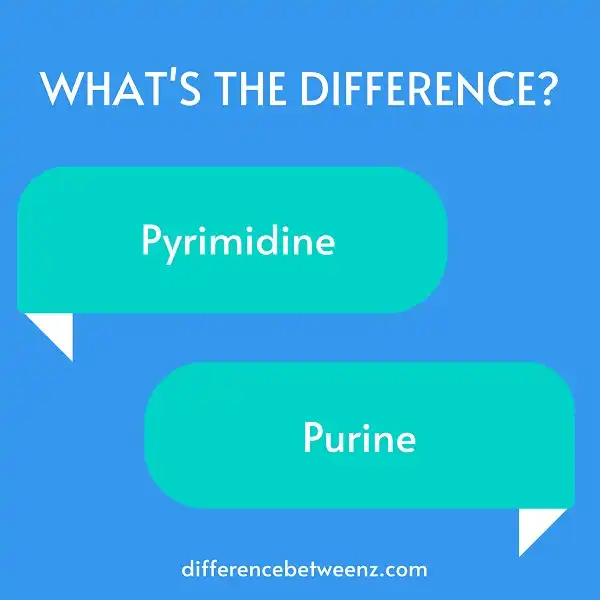 Difference between Pyrimidine and Purine