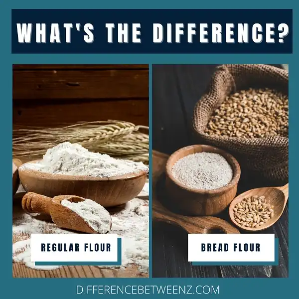 Difference between Regular Flour and Bread Flour