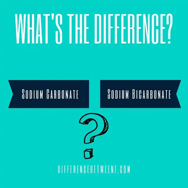 Difference between Sodium Carbonate and Sodium Bicarbonate