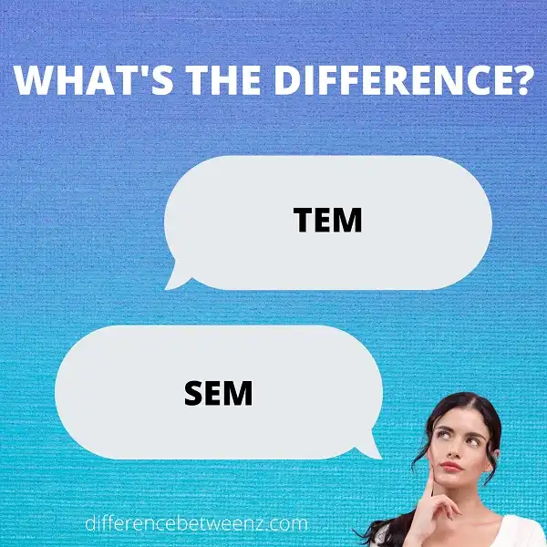 Difference between TEM and SEM
