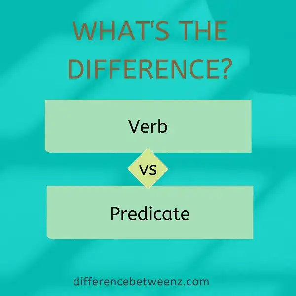 Difference between Verb and Predicate
