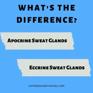 Difference between Apocrine and Eccrine Sweat Glands