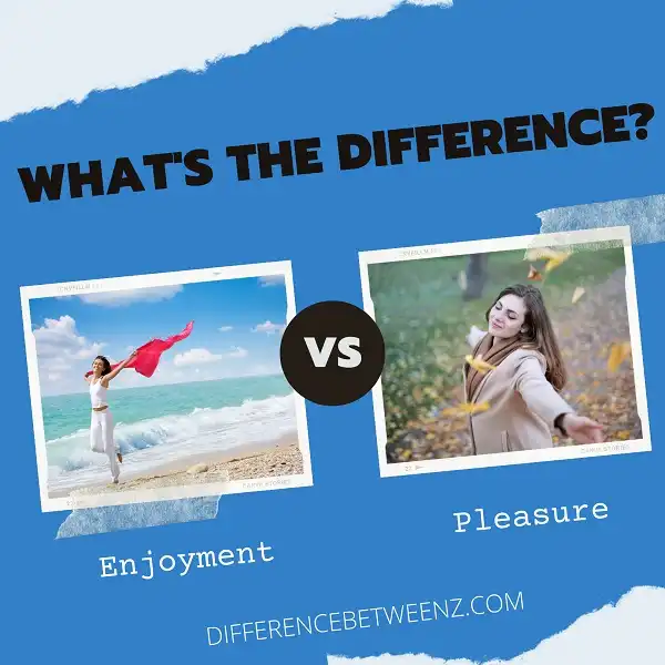 Difference between Enjoyment and Pleasure
