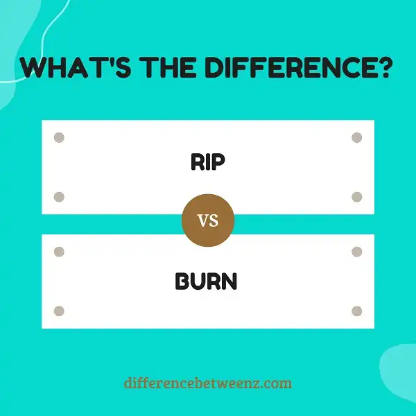 Difference between Rip and Burn
