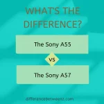Difference between The Sony A55 and A57