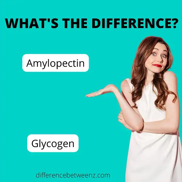 Differences between Amylopectin and Glycogen