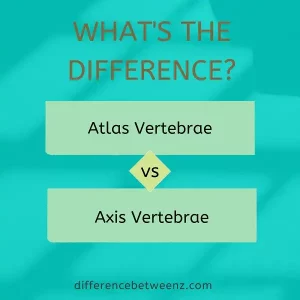 Differences between Atlas and Axis Vertebrae