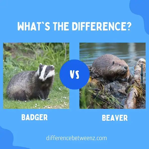 Differences between Badgers and Beavers