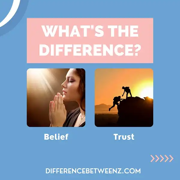 Differences between Belief and Trust