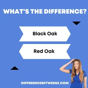 Differences between Black Oak and Red Oak
