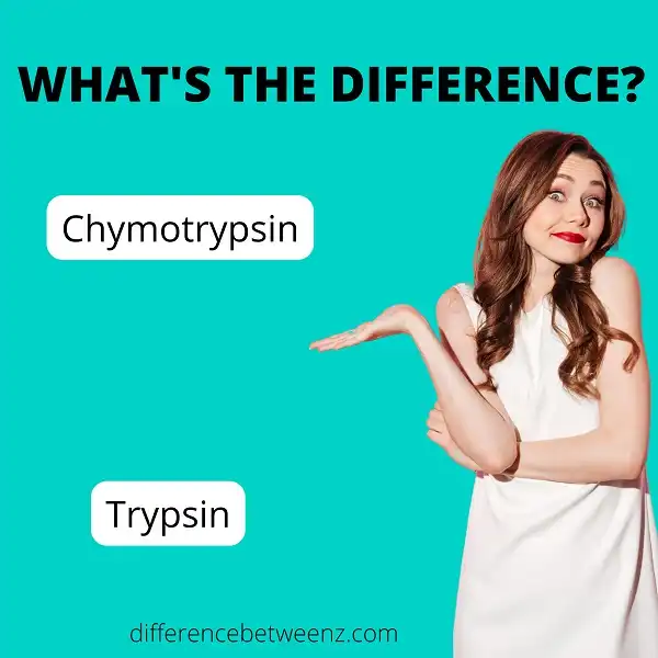 Differences between Chymotrypsin and Trypsin