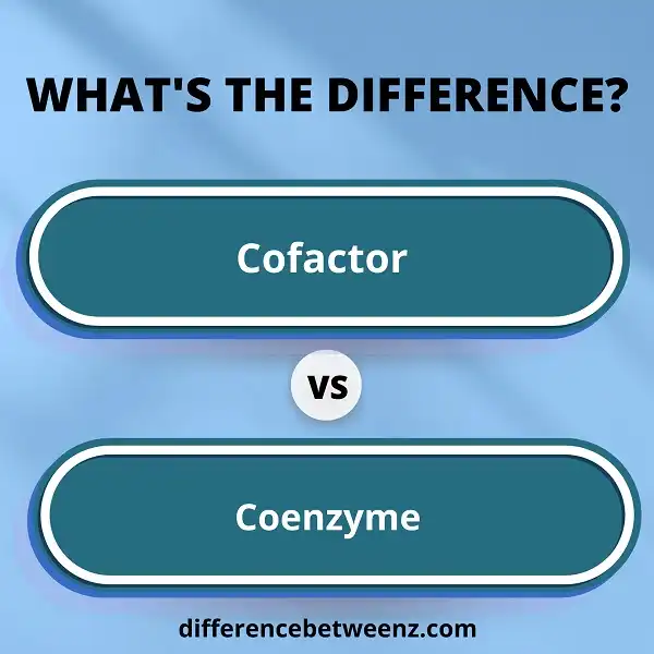 Differences between Cofactor and Coenzyme