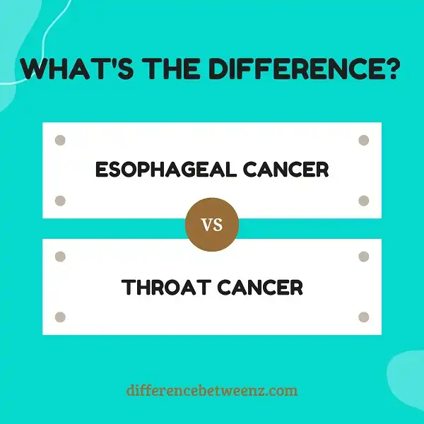 Differences between Esophageal and Throat Cancer