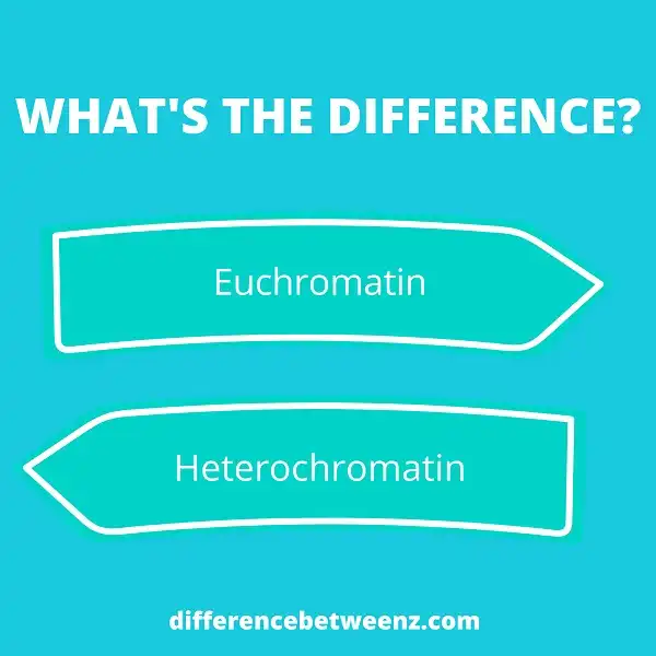 Differences between Euchromatin and Heterochromatin