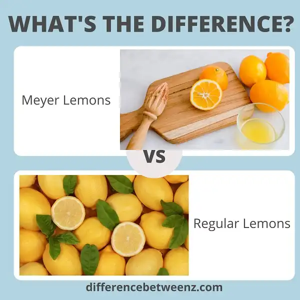 Differences between Meyer Lemons and Regular Lemons
