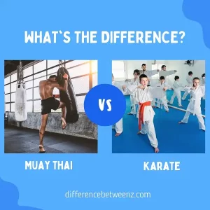 Differences between Muay Thai and Karate