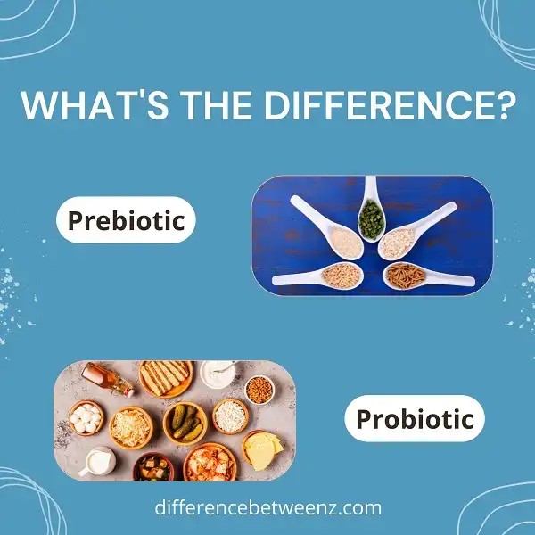 Differences between Prebiotic and Probiotic