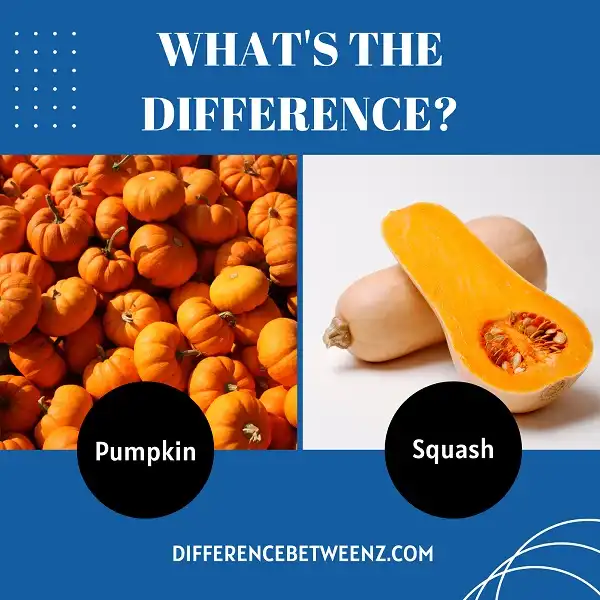 Differences between Pumpkin and Squash