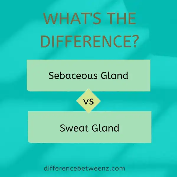 Differences between Sebaceous and Sweat Glands