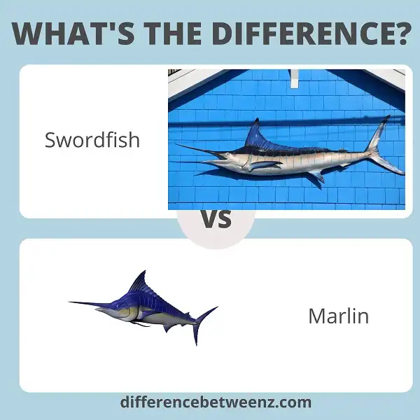 Differences between Swordfish and Marlin