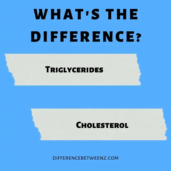 Differences between Triglycerides and Cholesterol