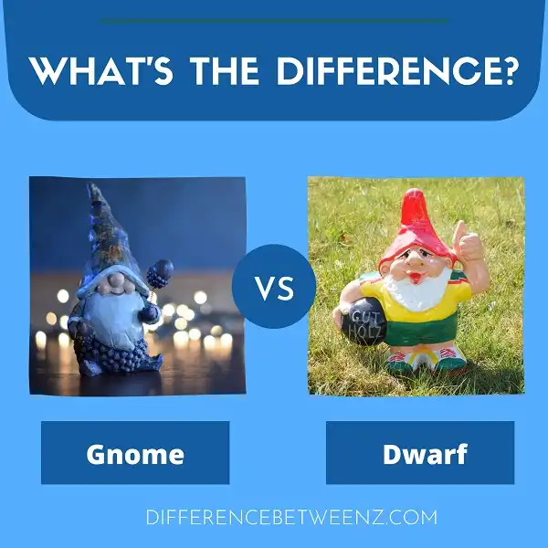 Differences between a Gnome and a Dwarf
