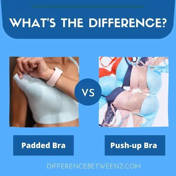 Differences between a Padded and a Push-up Bra