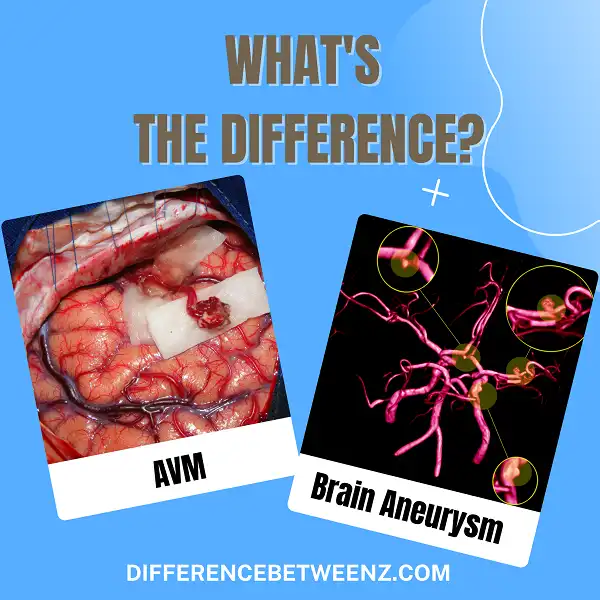 Difference between AVM and Brain Aneurysm