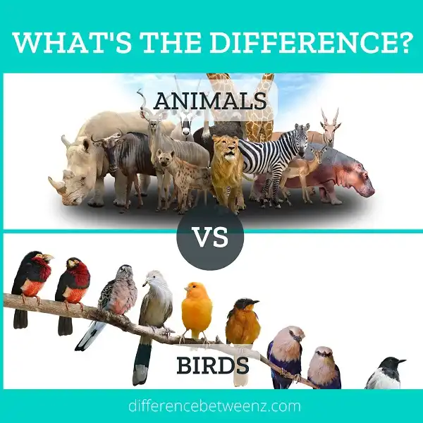 Difference between Animals and Birds