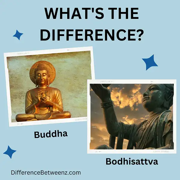 Difference between Buddha and Bodhisattva
