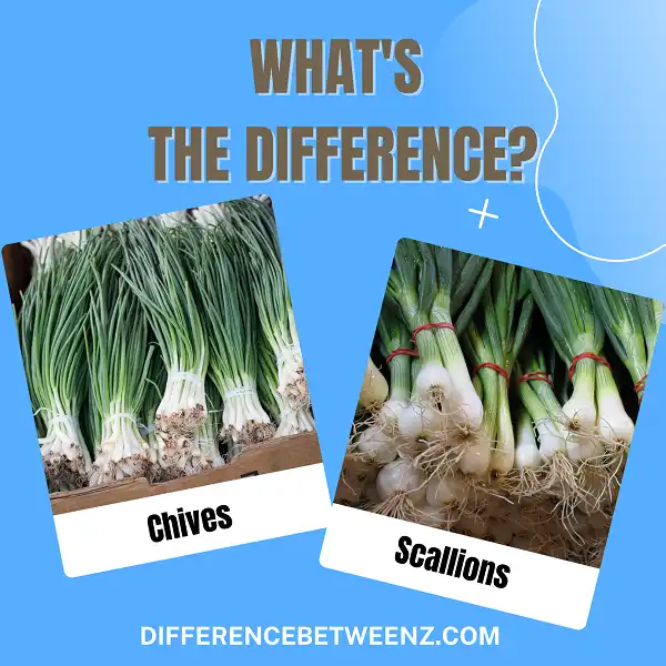 Difference between Chives and Scallions