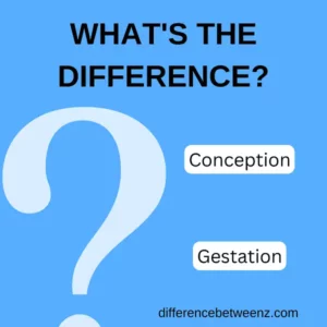 Difference between Conception and Gestation