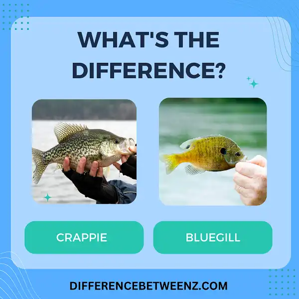 Difference between Crappie and Bluegill
