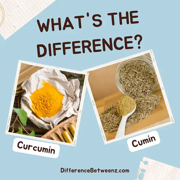 Difference between Curcumin and Cumin