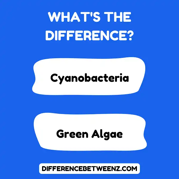 Difference between Cyanobacteria and Green Algae