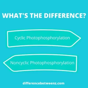 Difference between Cyclic and Noncyclic Photophosphorylation