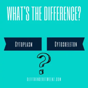 Difference between Cytoplasm and Cytoskeleton