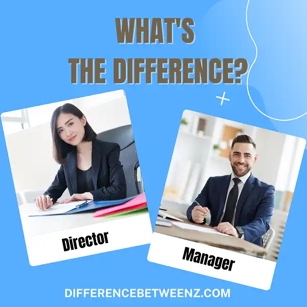 Difference between Director and Manager