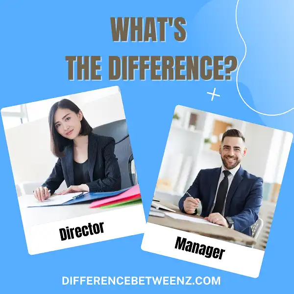 20-difference-between-director-and-executive-director