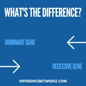Difference between Dominant Gene and Recessive Gene